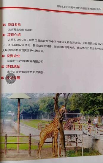 厲害了我的大濱州，15個(gè)招商引資項(xiàng)目集中簽約！